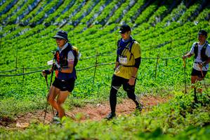 BIB: 104
                            <button type="button" onclick="openModal(19163681)" class="btn btn-primary btn-sm float-right btn-popup" data-toggle="modal" data-target=".modal-high-quality">
                        <i class="fas fa-shopping-cart"></i> Add to Cart
                    </button>
                                            <button type="button" onclick="isThisMe(19163681, true)" class="btn btn-success btn-sm float-right btn-popup btn-isme hidden" data-toggle="tooltip" data-placement="bottom" title="นี่คือรูปของคุณใช่ไหม คลิกที่นี่เพื่อเอาเข้าอัลบั้ม">
                        <i class="fas fa-plus"></i> Add to album
                    </button>
                    <button type="button" onclick="isThisMe(19163681, false)" class="btn btn-warning btn-sm float-right btn-popup btn-isnotme hidden">
                        <i class="fas fa-ban"></i> Remove from album
                    </button>